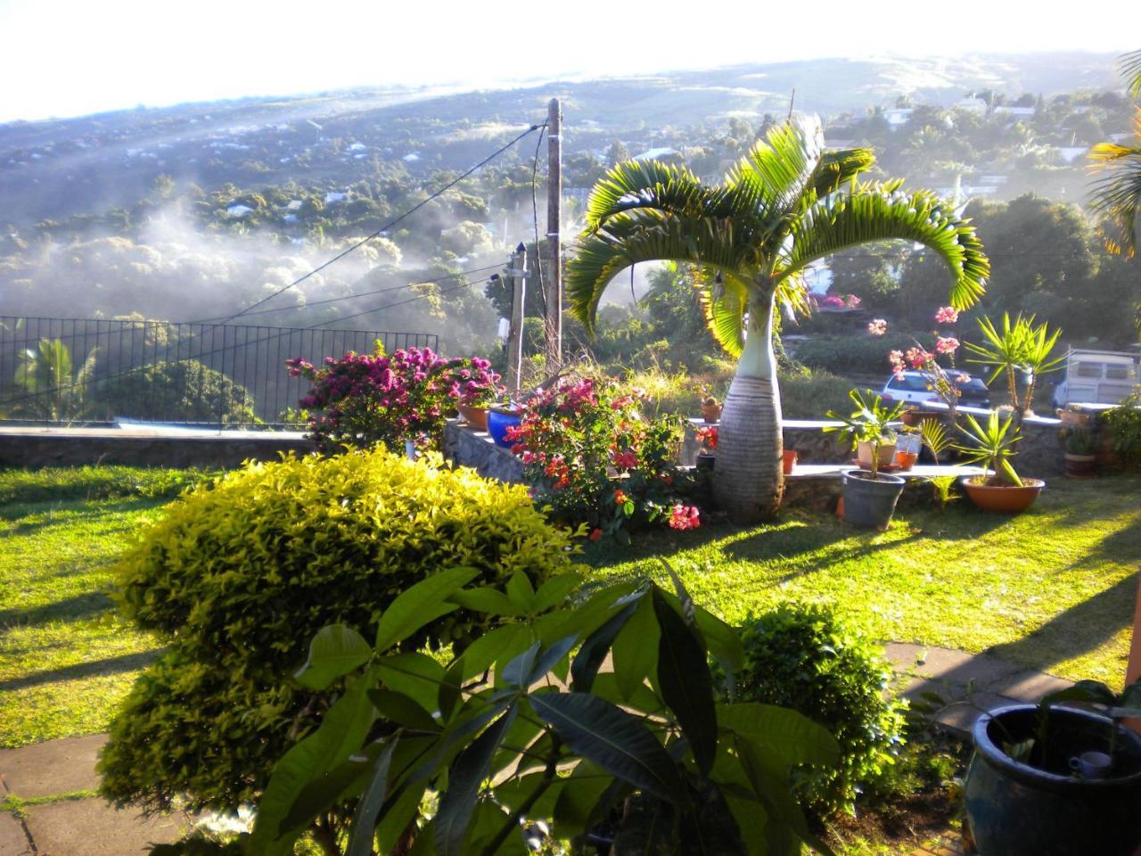 La Maison Canopee, Votre Guest House A Saint-Leu Luaran gambar